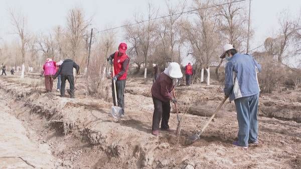 1711351595427280.jpg 16.jpg