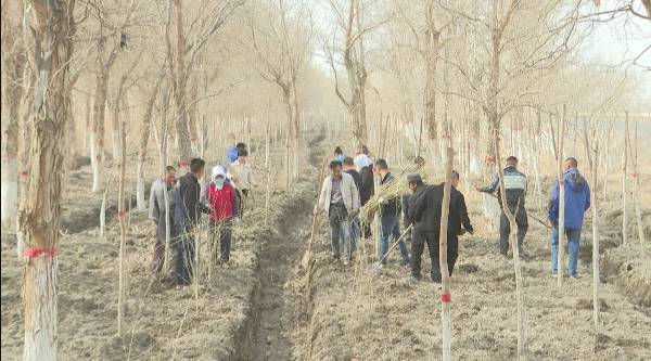 1711351604745128.jpg 17.jpg