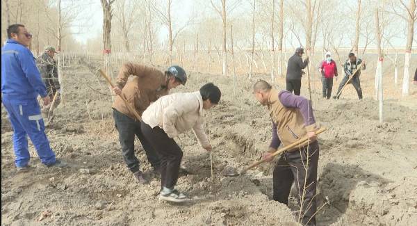 1711351608163668.jpg 18.jpg