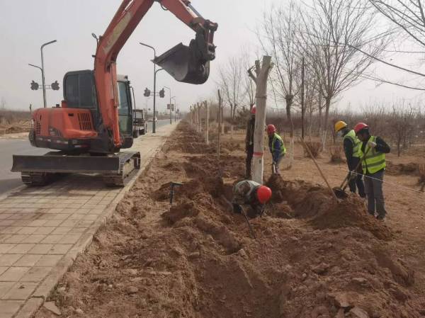 1711355646385412.jpeg 640 (1).jpeg