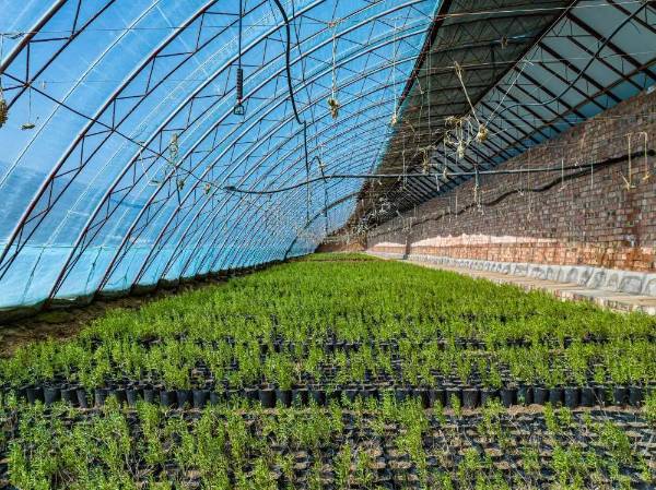 1712457698738623.jpg 8.jpg