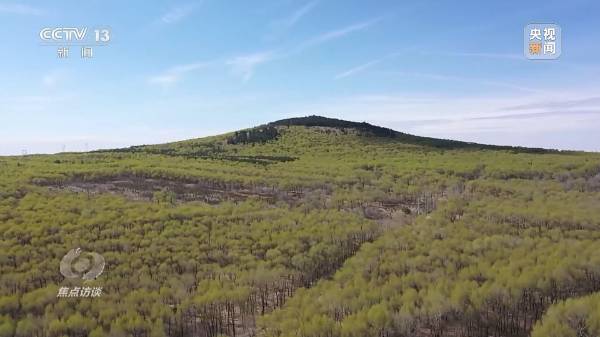 1712458889668434.jpg 1.jpg