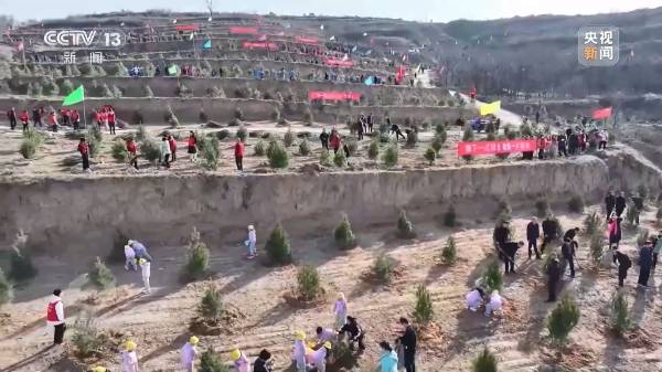 1712459267783696.jpg 4.jpg