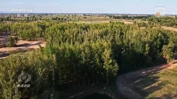 1712459276590413.jpg 5.jpg