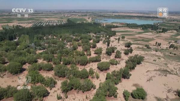 1712459296873218.jpg 7.jpg