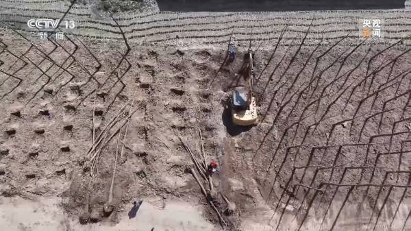 1712459382102493.jpg 9.jpg