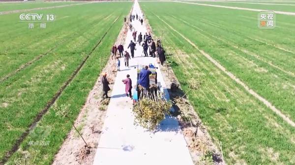 1712459395401291.jpg 10.jpg