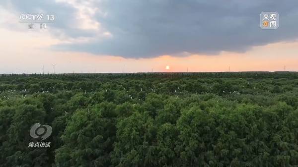 1712459405363679.jpg 11.jpg