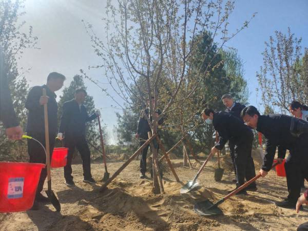 1712482567964566.jpeg 1 (1).jpeg