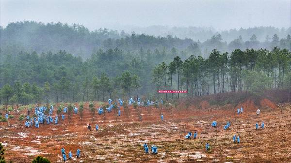 1712650743433085.jpg 1 (1).jpg