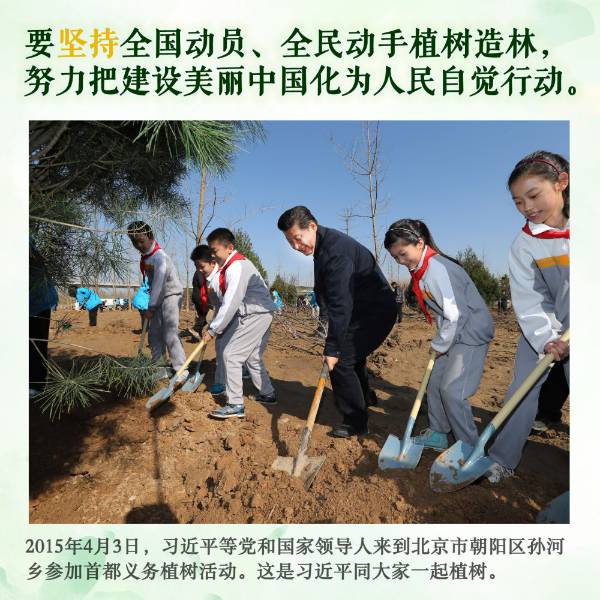 1712652364337602.jpeg 6.jpeg