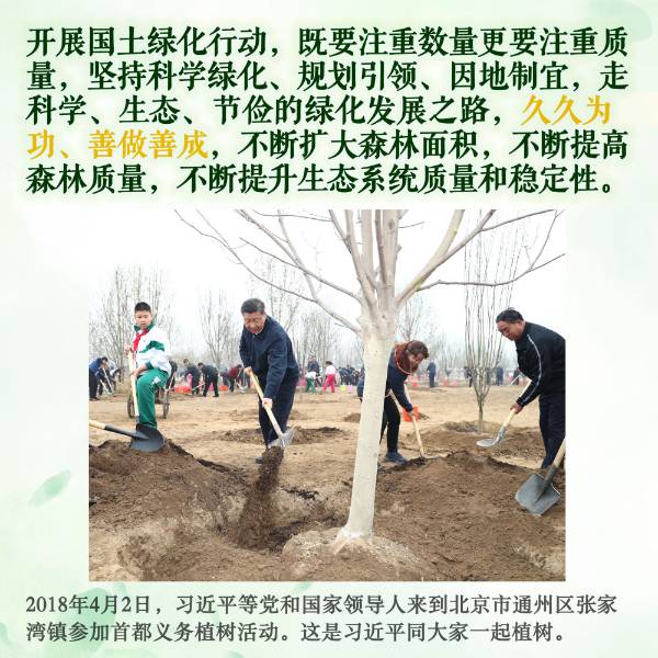 1712652399140875.jpeg 9.jpeg