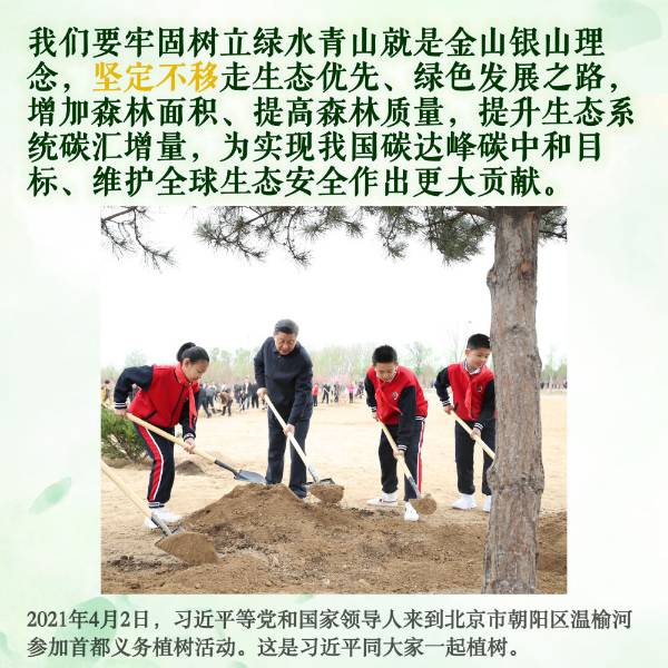 1712652445358869.jpeg 12.jpeg