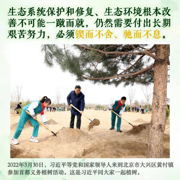 1712652485853728.jpeg 13.jpeg