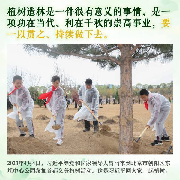 1712652498998413.jpeg 14.jpeg