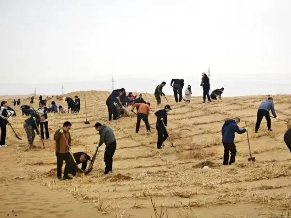 1713516411225443.jpeg 4.jpeg