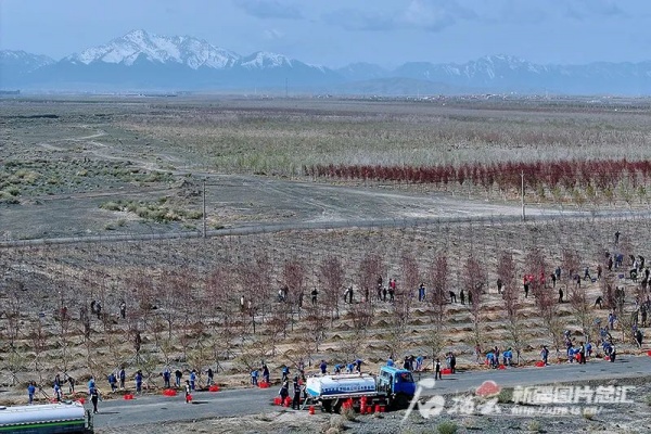 1714007959881279.jpg 13_副本.jpg