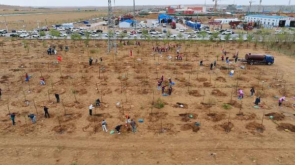 1715923768143149.jpeg 640 (1).jpeg