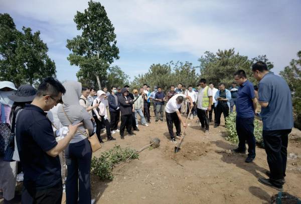 1716949334852726.png 2 (1).png