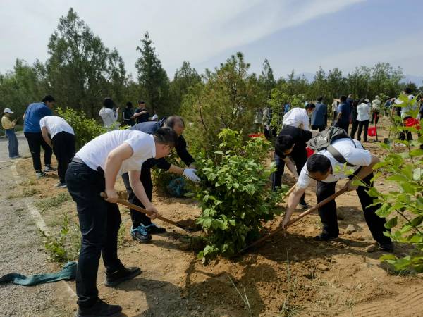 1716949365831349.png 4 (1).png