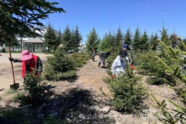 1716953858199592.png 1 (1).png