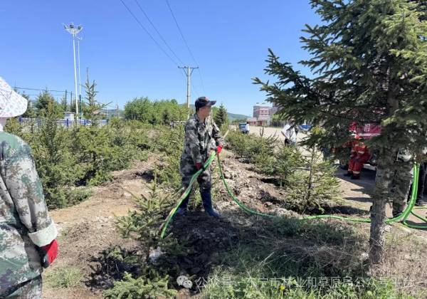 1716953863347844.jpg 2 (1).jpg