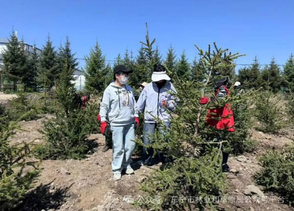 1716953870137971.jpg 3 (1).jpg