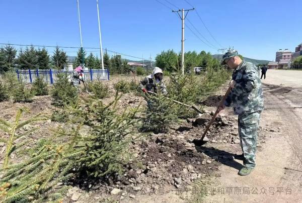 1716953875702801.jpg 4 (1).jpg