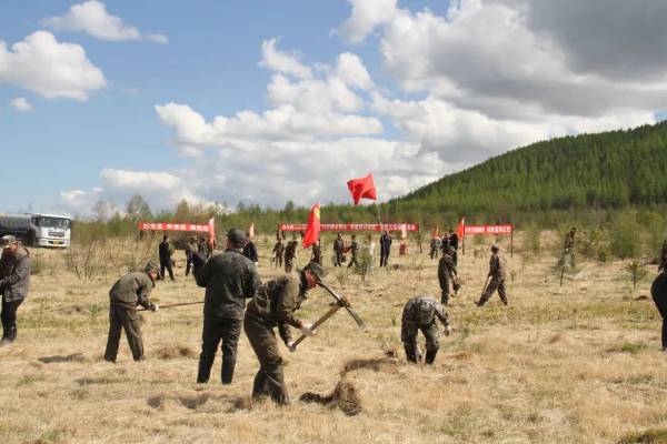 1716959279919496.jpeg 6 (1).jpeg