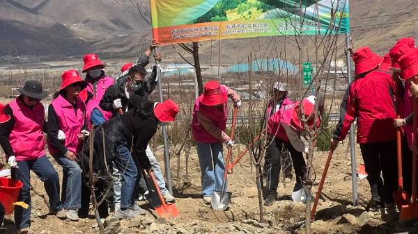 1717470437152629.jpg 2.jpg