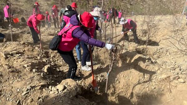 1717470440202231.jpg 3.jpg