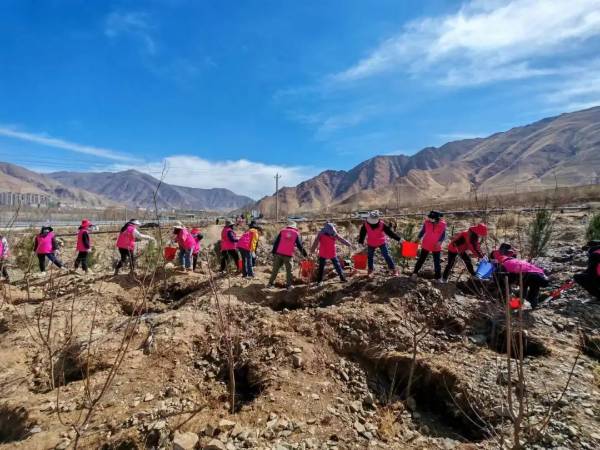 1717470444978437.jpg 4.jpg