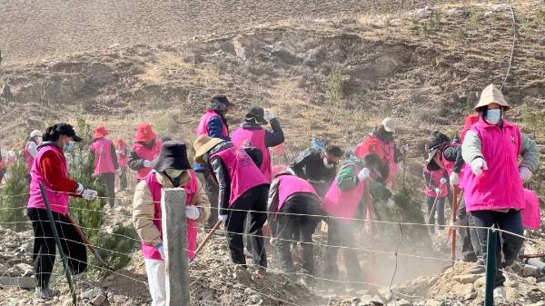 1717470460933493.jpg 5.jpg