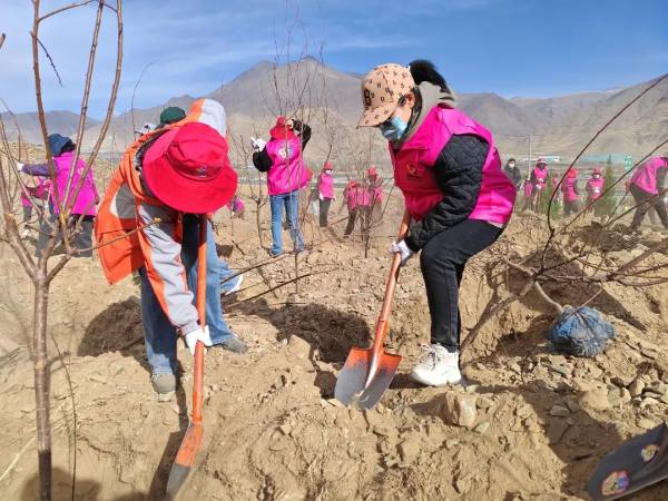 1717470466463957.jpg 6.jpg