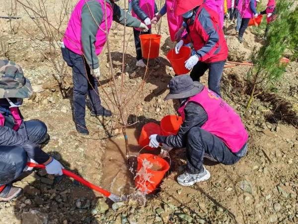 1717470492128386.jpg 10.jpg