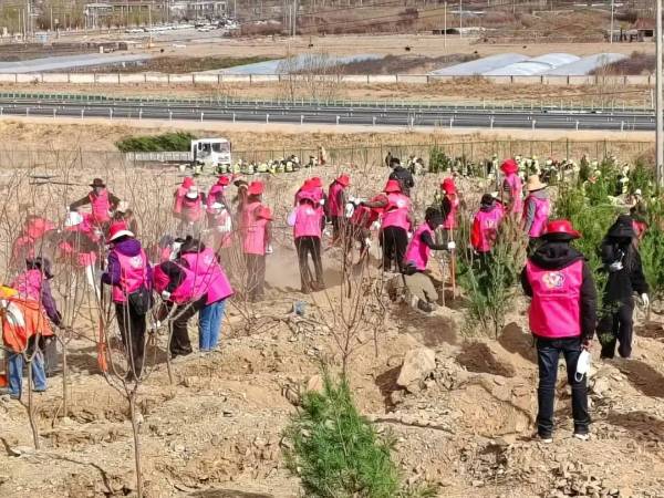 1717470496517895.jpg 11.jpg