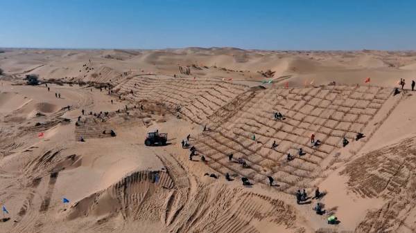 1718069412758450.jpg 1 (1).jpg