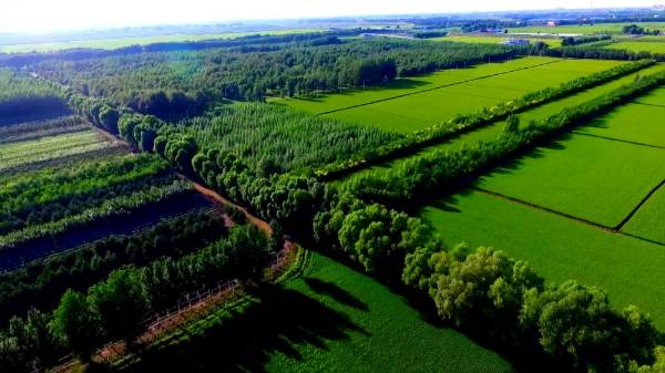 1718069419520758.jpg 2 (1).jpg