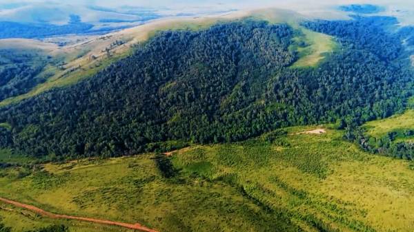 1718069426427414.jpg 3 (1).jpg