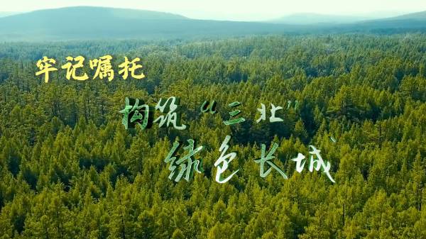 1718069443377809.jpg 5 (1).jpg