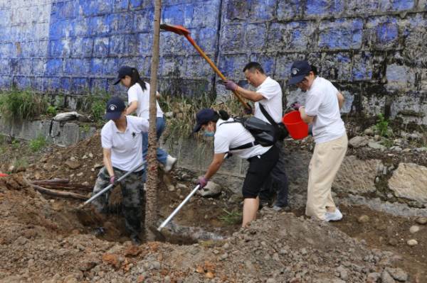 1718335249271433.jpg 1.jpg