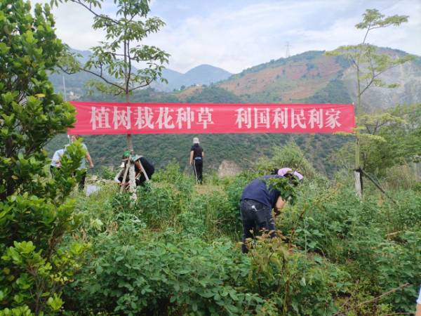 1718335277223200.jpg 4.jpg