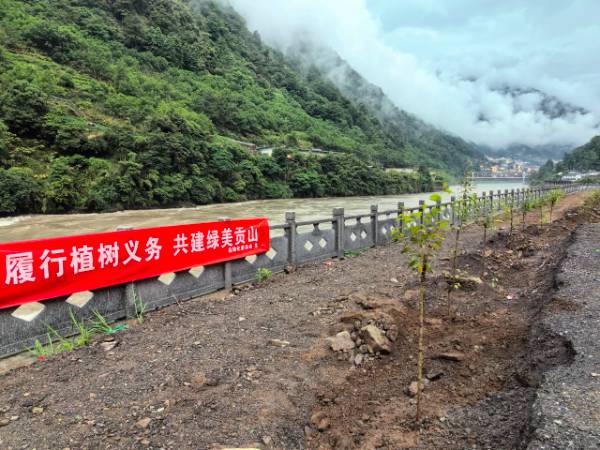 1718335320718964.jpg 7.jpg