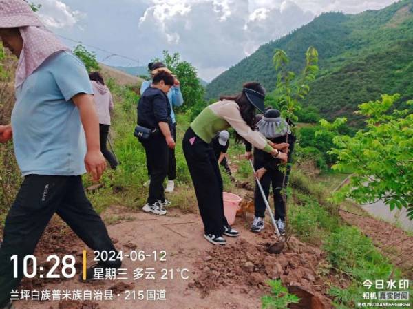 1718335333498542.jpg 9.jpg