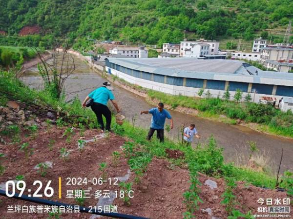 1718335338777423.jpg 10.jpg