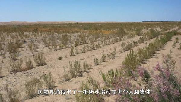 1719384402390441.jpg 3 (1).jpg