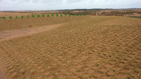 1719384415924131.jpg 5 (1).jpg