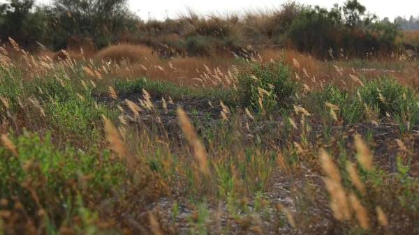 1719384419423665.jpg 6 (1).jpg