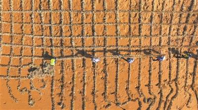 1719539548129929.jpg W020240619569685843841 (1).jpg