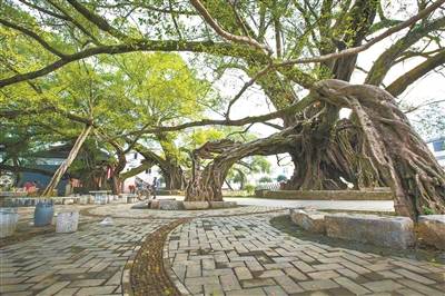 1719563927739061.jpg 1719563927739061.jpg